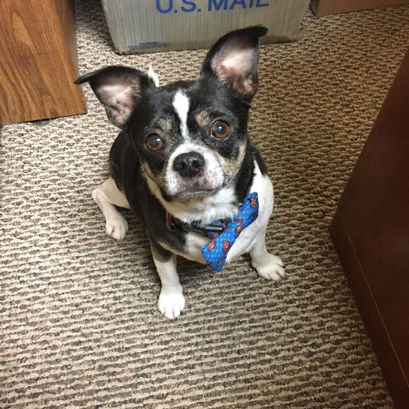 Meet your Posher, Carrie - Picture 8 of 13